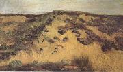 Vincent Van Gogh Dunes(nn04) china oil painting reproduction